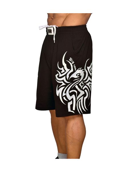 Big Sam Men's Sports Shorts 1319