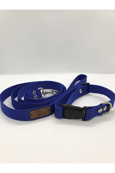 Patipatron Small Breed Dog Walking Collar Blue