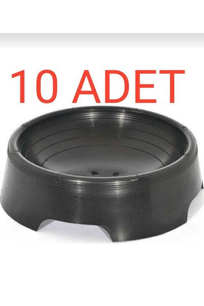 Güvercin Egg Foil 10 Pieces