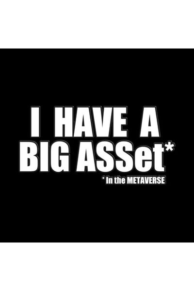 Pixxa I Have A Big Asset In The Metaverse Mug