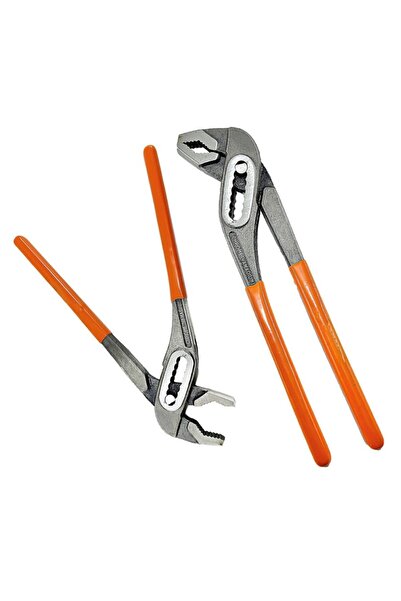 A Winnie Fort Papağan Pense A+pro