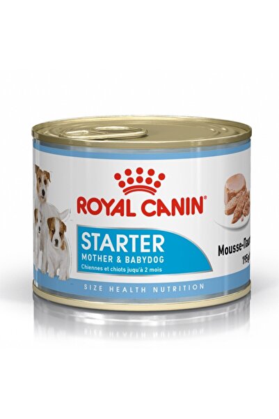 Royal Canin Starter Mousse Anne Ve Yavru Köpek Maması 195gr