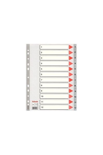 Esselte فاصل رقم 1-12