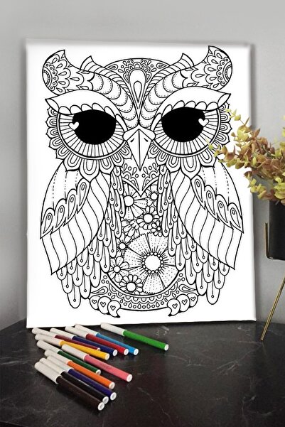 KanvasSepeti Baykuş 1 40x30cm Çocuklar Için Özel Boyanabilir Tablo Tuval Mand...