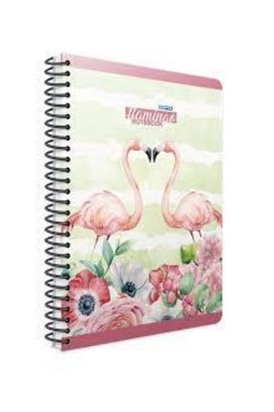 Gıpta 4173 Copertă din carton spiralat Flamingo 17x24 100 Yp Caiet cu rigle