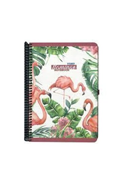 Gıpta 4173 Copertă din carton spiralat Flamingo 17x24 100 Yp Caiet cu rigle