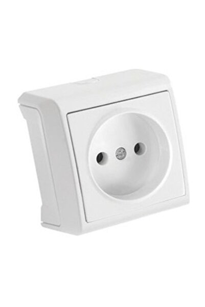 Generic Brand Vera Socket