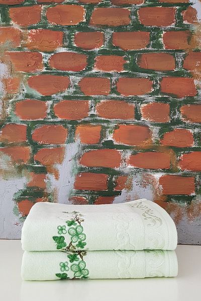 Özdilek Dila V2 - Set of 2 White and Green Embroidered Towels