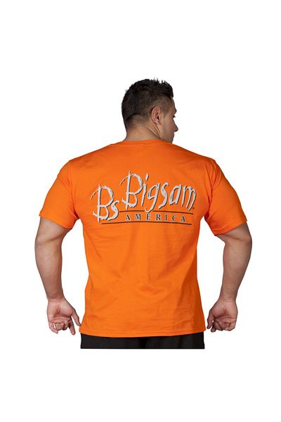 Big Sam Men's Summer Thin Sports T-shirt 2579