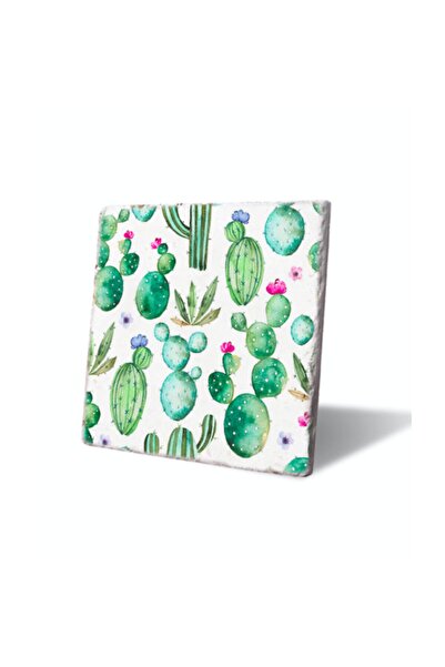 LWP Shop Cactusi de vară Nihale