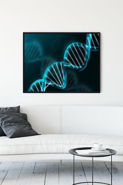 Postermanya Dna Bilimsel Çerçeveli Tablo (21x30cm)