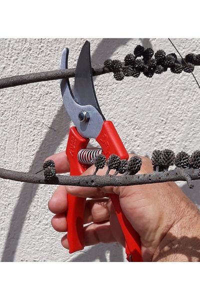 Depolife Garden Tree Branch Cutting Saw Herb Shrub Cutting Sickle Pruning Shears Set