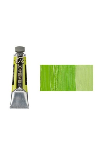 Rembrandt 40ml Yağlı Boya Seri:1 No:629 Green Earth