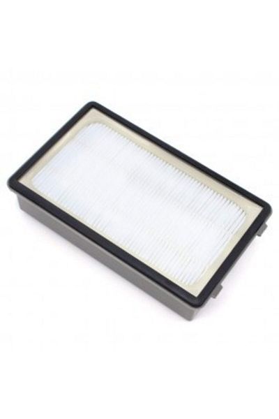 Rowenta Ro 3786 - Compact Power Cyclonic Hepa Filter