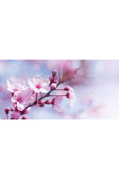 L'Occitane Cherry Blossom Lip Balm - Kiraz Çiçeği Dudak Kremi