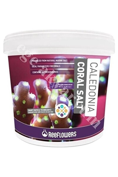 ReeFlowers Caledonia Coral Salt 6,5kg