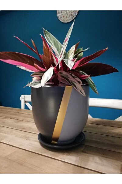 Balcony Flower Exclusive Seramik Salon Saksı