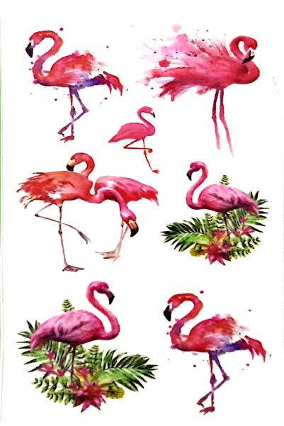 Parti dolabı Tattoo Geçici Dövme Flamingo Modelleri