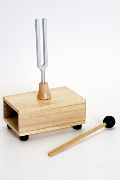 TRAY Diyapozon 512 Hz Tokmağı Ile