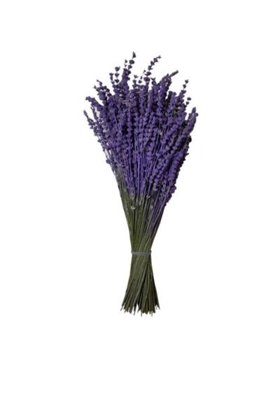 Lavanta Koleksiyonu Lavanta Kokulu Köy'den Lavanta Demeti/buketi (boyalı)