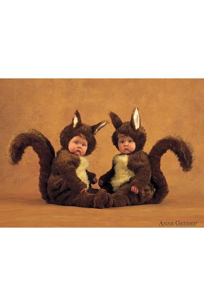 EDUCA Squirrels 1000 Piece Puzzle - 12469