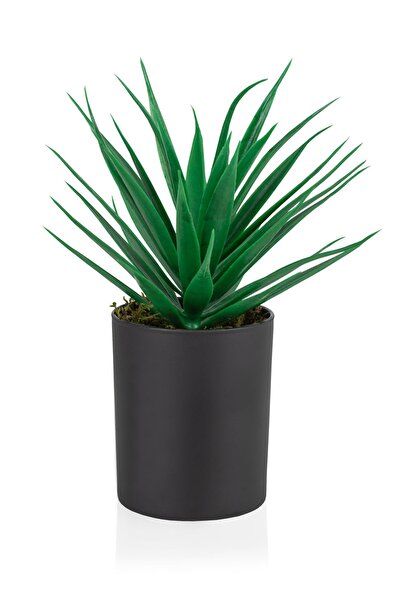 Çiçekmisin Siyah Cam Saksıda Yapay Yeşil Kaktüs Aloevera