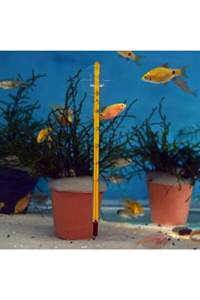 Genel Markalar Akvaryum Için Cam Termometre Derece 15 cm