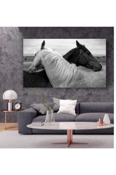 HD Siyah Beyaz At Temalı - Her Mekana Uygun Dekoratif Kanvas Tablo 40x60 Cm