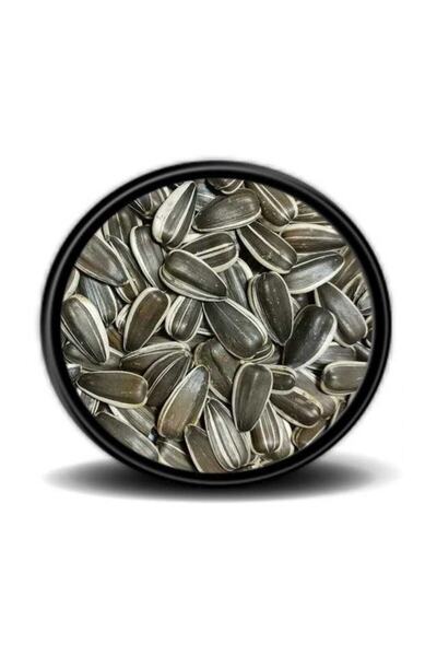 Vivid Bird Vivid Alaca Küçük Çekirdek 1 Kg