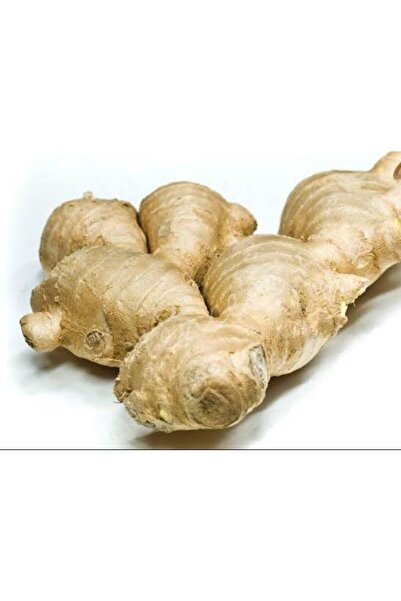 forevers Taze Zencefil 500 Gr