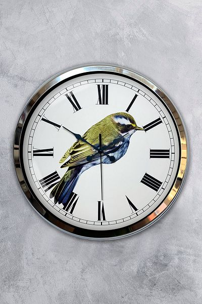 Kasva Concept Gift 40 cm Chrome Metal Bird Wall Clock