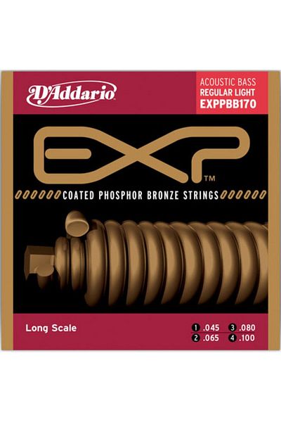 Daddario Exppbb170