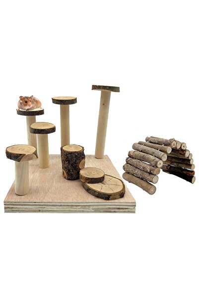 Alyones 2'li Set Hamster Oyun Alanı Bendy Köprü Seti Cüce Hamster