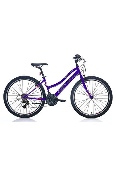 Carraro Speed 262 Mor
