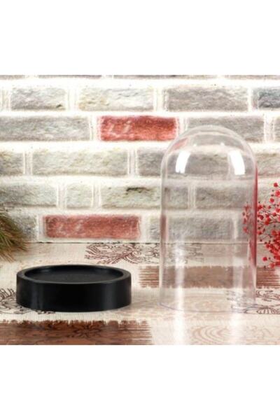 Genel Markalar Boş Pvc Fanus