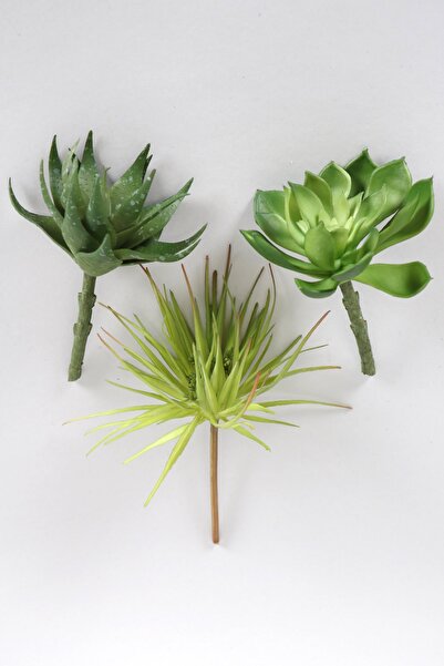 Yapay Çiçek Deposu Yapay Сукулентен сукулентен комплект - 3