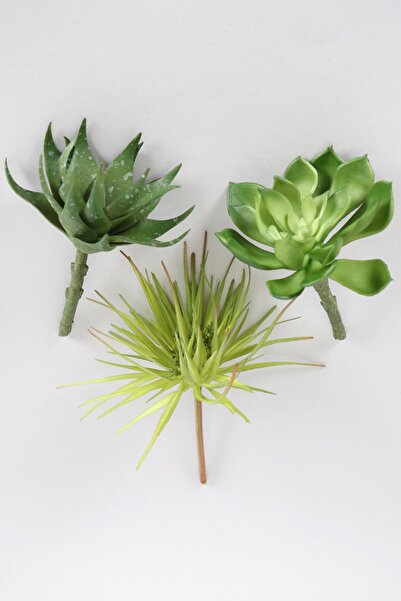 Yapay Çiçek Deposu Yapay Сукулентен сукулентен комплект - 3