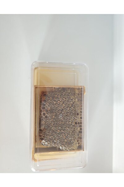 Katkısız Bal 500 gr