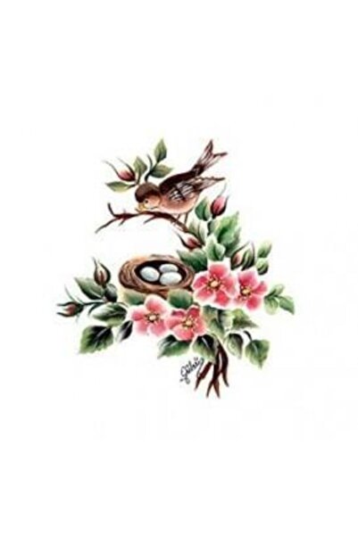 Cadence Easy Transfer 17X25 Cm. G-101