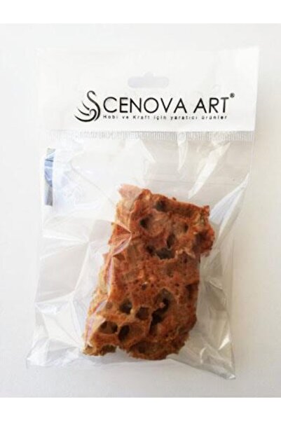 Genel Markalar Doğal Deniz Süngeri