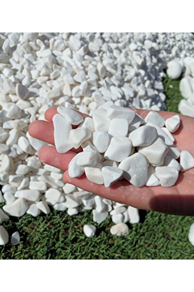 Asenya Dolomit Taş 10 Kg 1-2 Cm Beyaz Dolomit Bahçe Taşı Çakıl Taşı Saksı Taş...