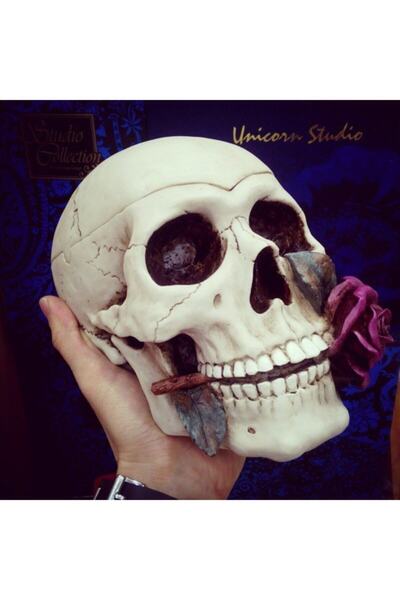 ehobim Veronese El Boyaması Kuru Kafa Figür 16x20cm