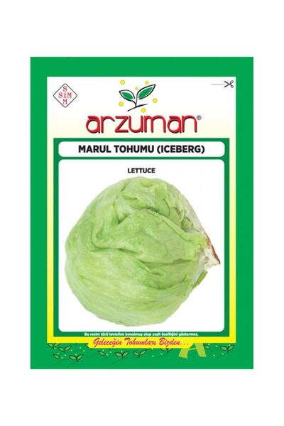 Arzumana Icberg Marul Arzuman