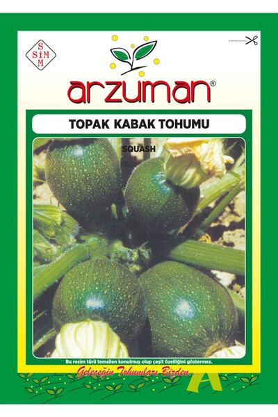 Arzuman 30 Adet Topak Kabak Tohumu