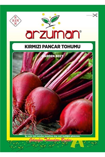 Arzuman 500 Adet Kırmızı Pancar Tohumu