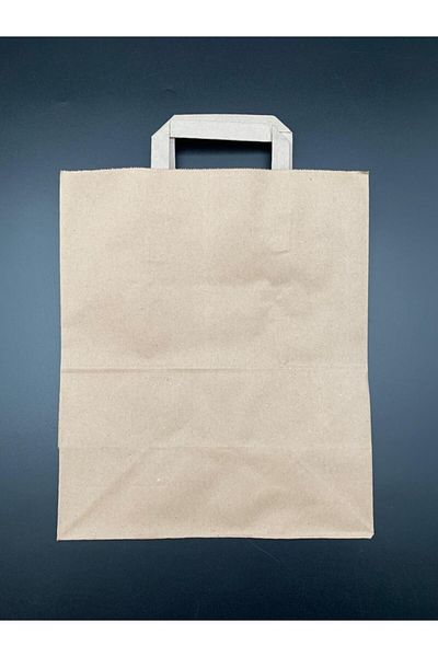 World 10 Pack 33x20x33 Brown Color Flat Handle Kraft Bag