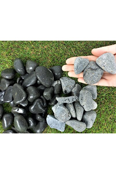 Asenya Siyah Bazalt Dolomit Taş 2 Kg 2-4 Cm Bazalt Dolomit Taş Siyah Taş Dere...