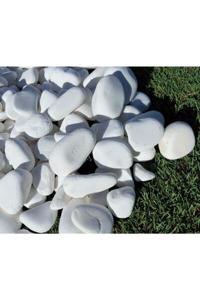 Asenya Dolomit Taş 1 Kg 2-4 Cm Beyaz Dolomit Bahçe Taşı Çakıl Taşı Saksı Taşı...
