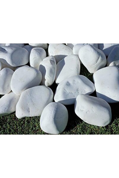 Asenya Dolomit Taş 3 Kg 4-6 Cm Beyaz Dolomit Bahçe Taşı Çakıl Taşı Saksı Taşı...