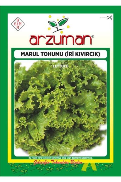 Arzuman 7000 Adet Iri Kıvırcık Marul Tohumu